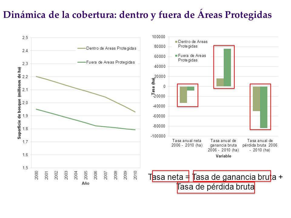 Dinámica de la cobertura: dentro y fuera de Áreas Protegidas