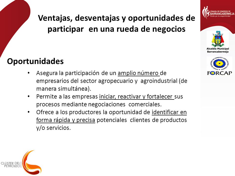 Ventajas, desventajas y oportunidades de participar en una rueda de negocios