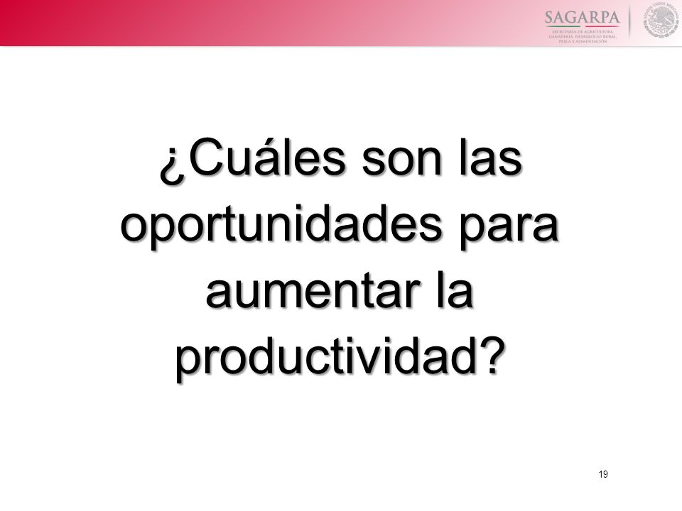 ¿Cuáles son las oportunidades para aumentar la productividad