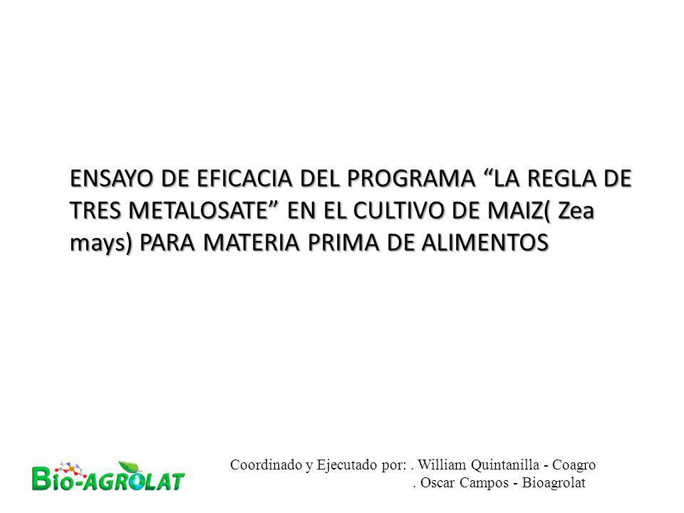 ENSAYO DE EFICACIA DEL PROGRAMA LA REGLA DE TRES METALOSATE EN EL CULTIVO DE MAIZ( Zea mays) PARA MATERIA PRIMA DE ALIMENTOS