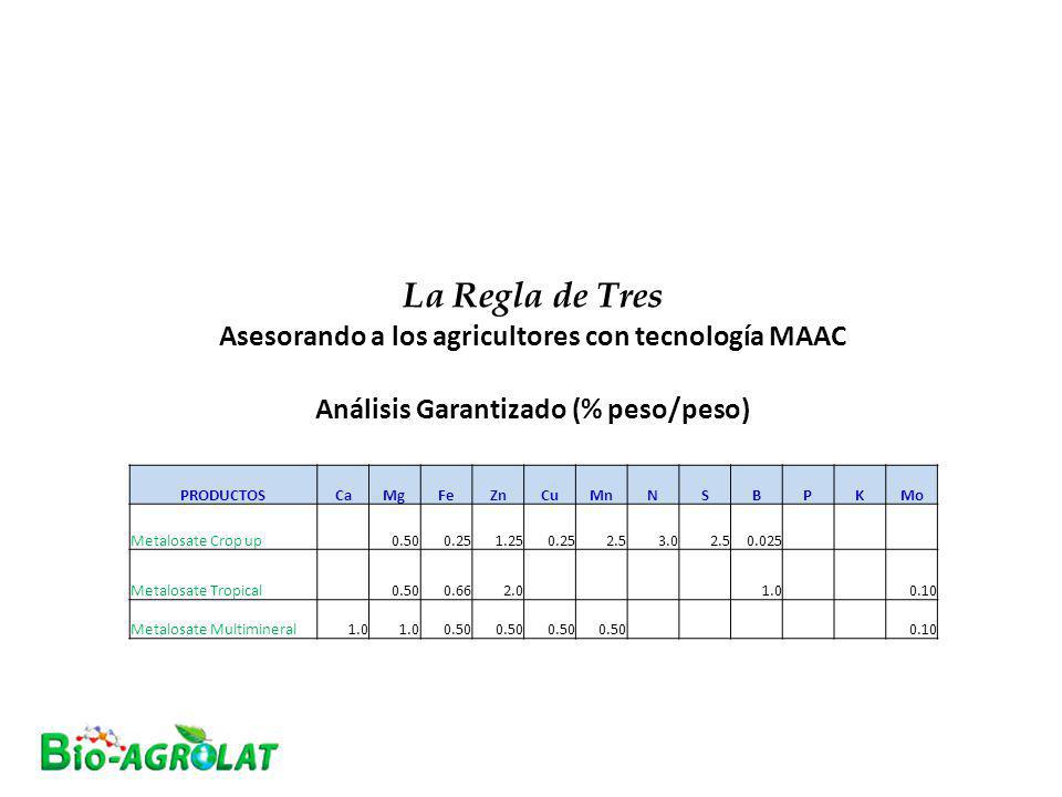 La Regla de Tres Asesorando a los agricultores con tecnología MAAC