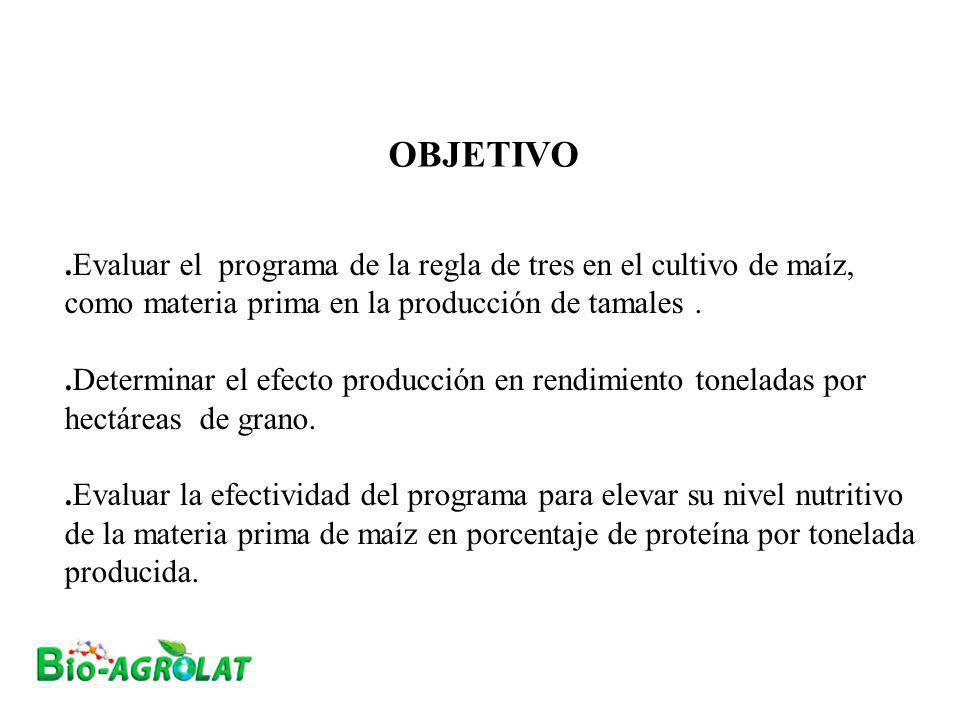 OBJETIVO .Evaluar el programa de la regla de tres en el cultivo de maíz, como materia prima en la producción de tamales .