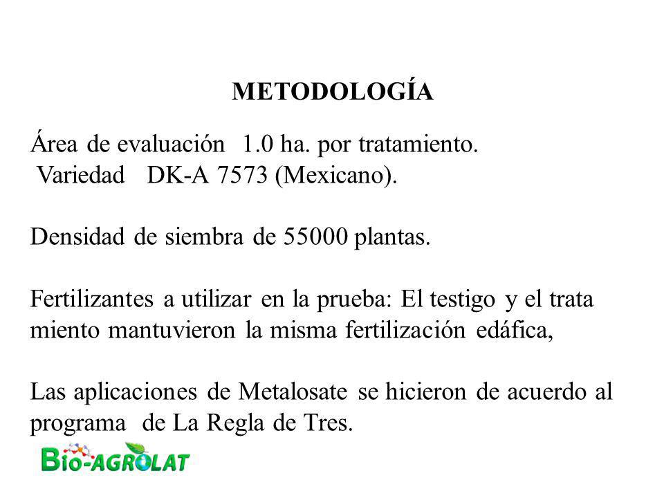METODOLOGÍA Área de evaluación 1.0 ha. por tratamiento. Variedad DK-A 7573 (Mexicano). Densidad de siembra de plantas.