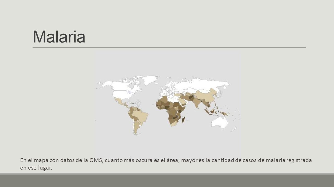 Malaria En el mapa con datos de la OMS, cuanto más oscura es el área, mayor es la cantidad de casos de malaria registrada en ese lugar.