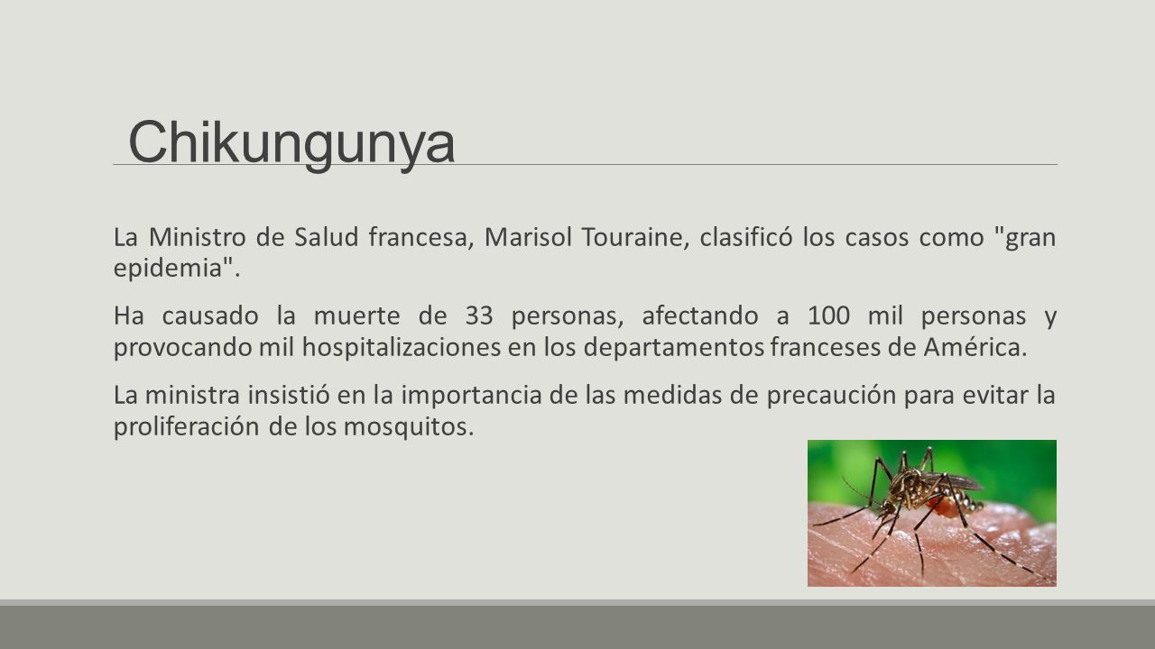 Chikungunya La Ministro de Salud francesa, Marisol Touraine, clasificó los casos como gran epidemia .