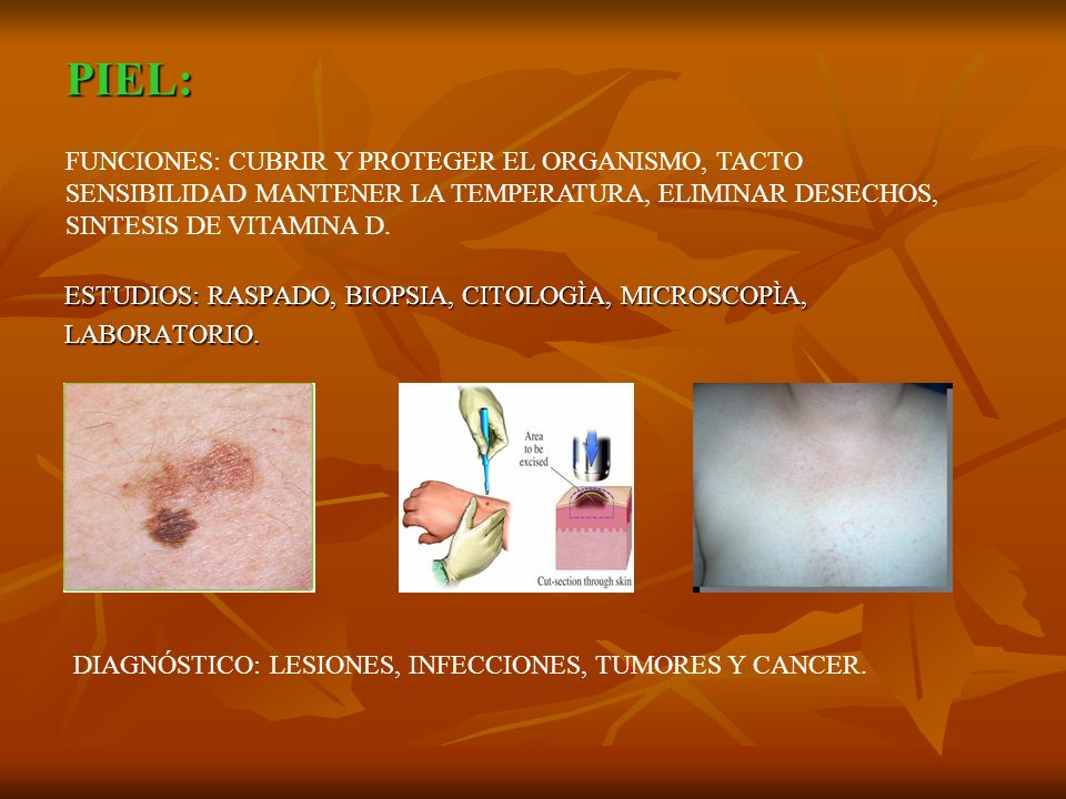 PIEL: FUNCIONES: CUBRIR Y PROTEGER EL ORGANISMO, TACTO SENSIBILIDAD MANTENER LA TEMPERATURA, ELIMINAR DESECHOS, SINTESIS DE VITAMINA D.
