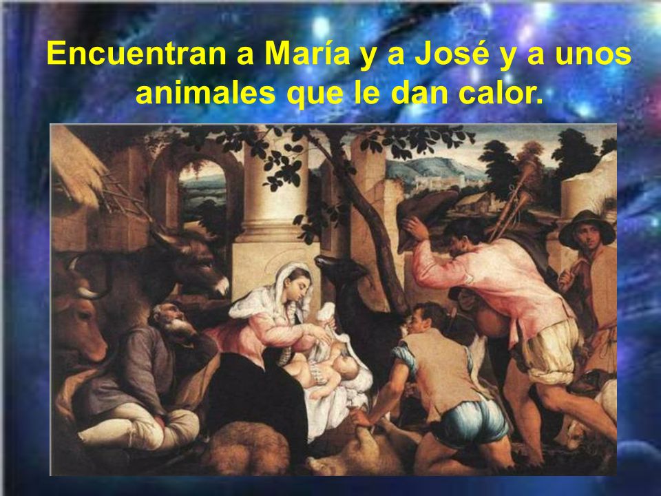 Encuentran a María y a José y a unos animales que le dan calor.