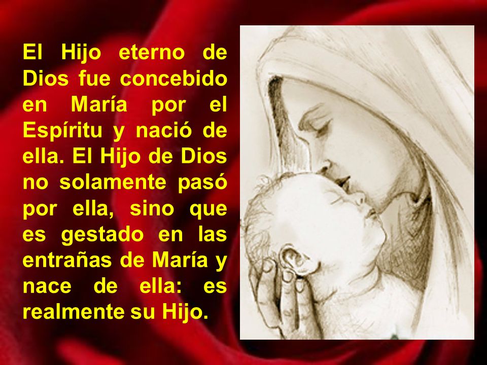 El Hijo eterno de Dios fue concebido en María por el Espíritu y nació de ella.
