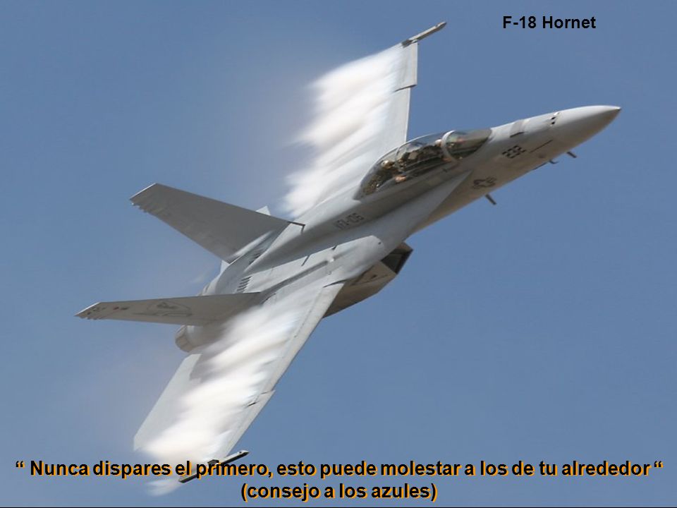 F-18 Hornet Nunca dispares el primero, esto puede molestar a los de tu alrededor (consejo a los azules)