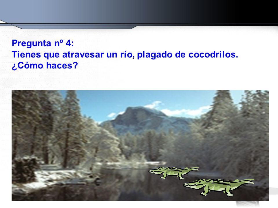 Pregunta nº 4: Tienes que atravesar un río, plagado de cocodrilos. ¿Cómo haces