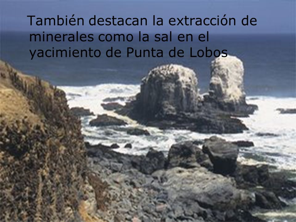 También destacan la extracción de minerales como la sal en el yacimiento de Punta de Lobos
