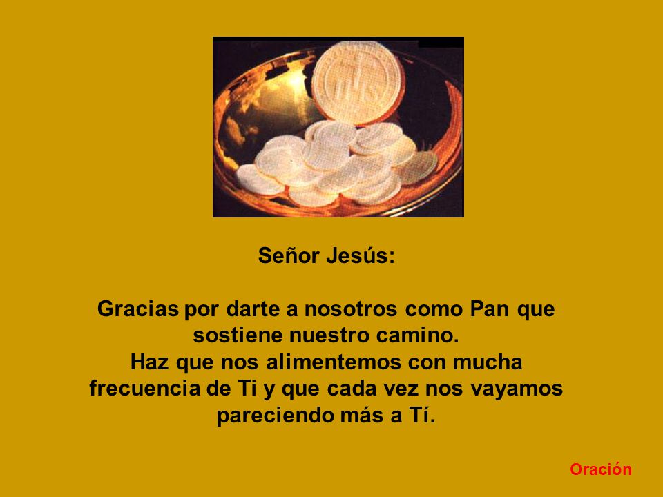 Gracias por darte a nosotros como Pan que sostiene nuestro camino.