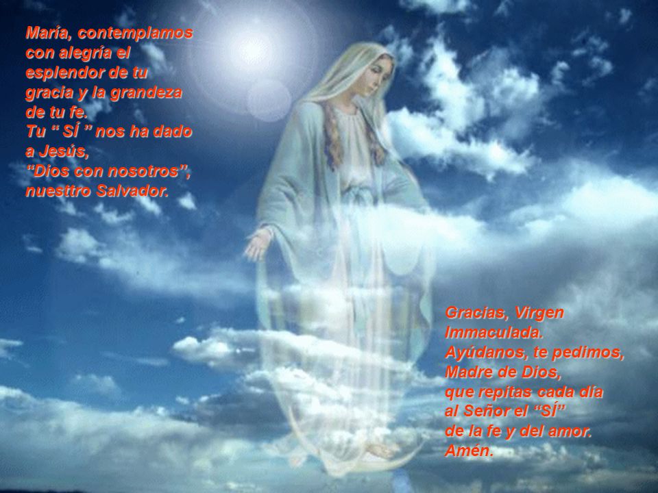 María, contemplamos con alegría el esplendor de tu gracia y la grandeza