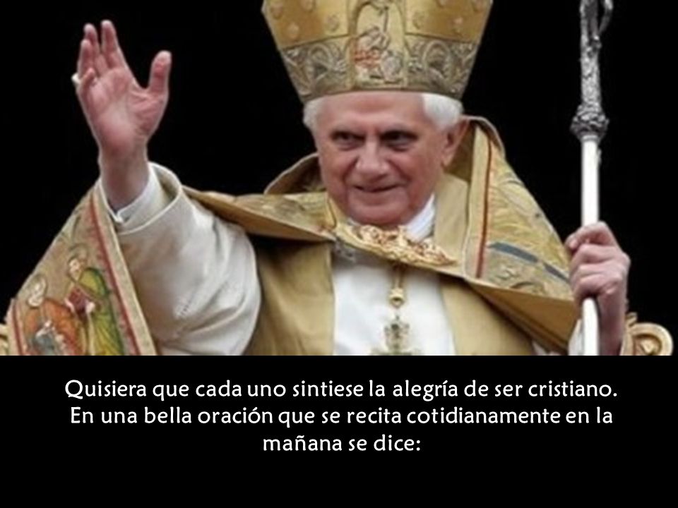 Quisiera que cada uno sintiese la alegría de ser cristiano