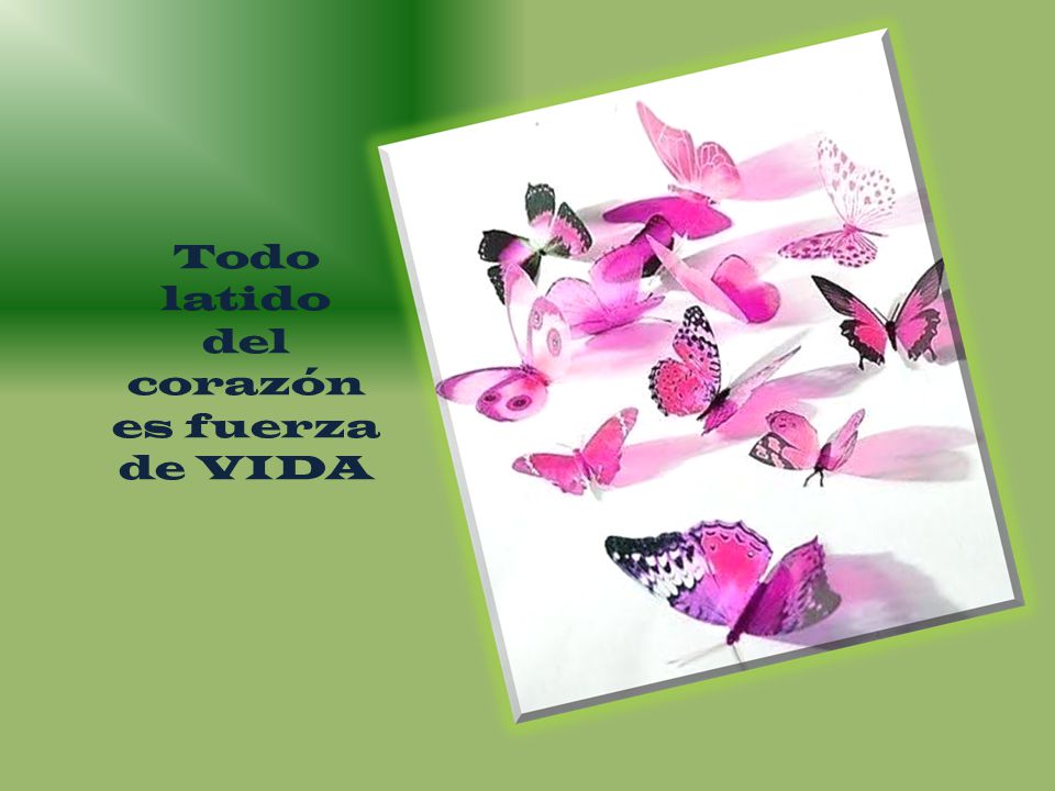 Todo latido del corazón es fuerza de VIDA