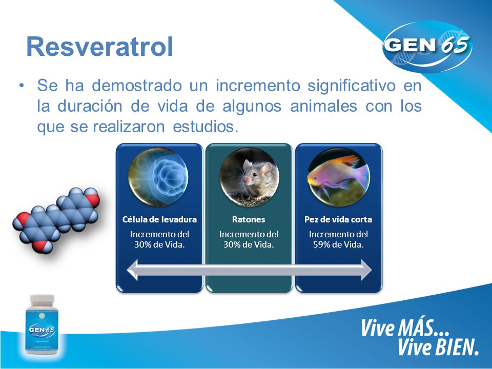 Resveratrol Se ha demostrado un incremento significativo en la duración de vida de algunos animales con los que se realizaron estudios.