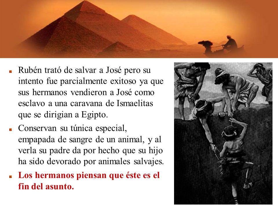 Los hermanos piensan que éste es el fin del asunto.