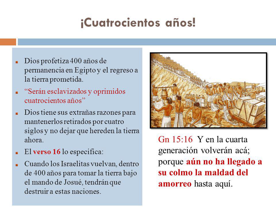 ¡Cuatrocientos años! Dios profetiza 400 años de permanencia en Egipto y el regreso a la tierra prometida.