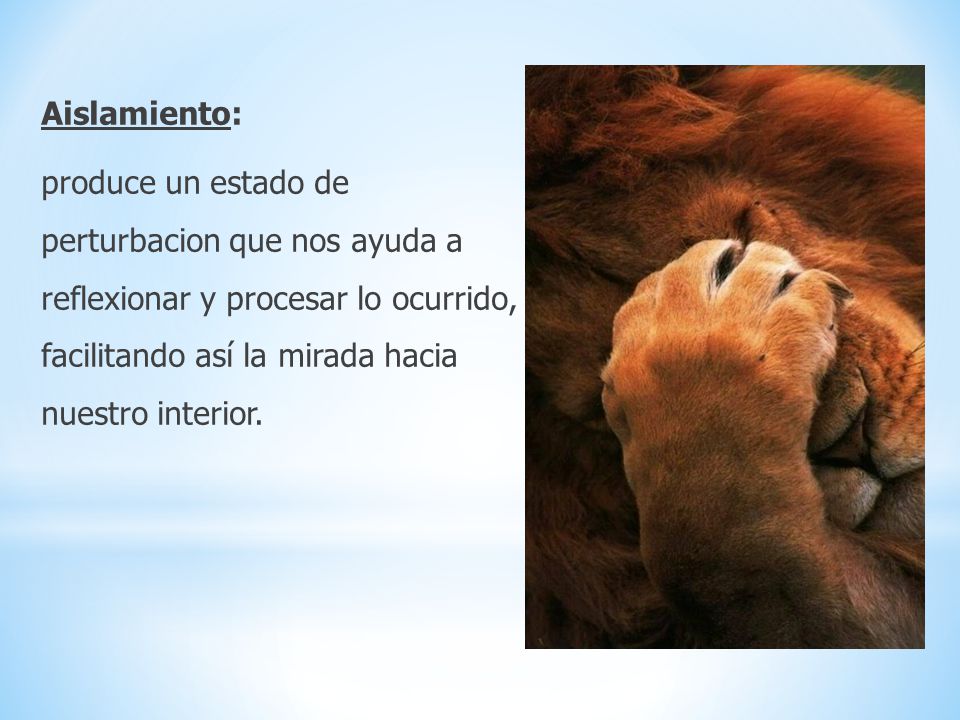 Aislamiento: produce un estado de perturbacion que nos ayuda a reflexionar y procesar lo ocurrido, facilitando así la mirada hacia nuestro interior.