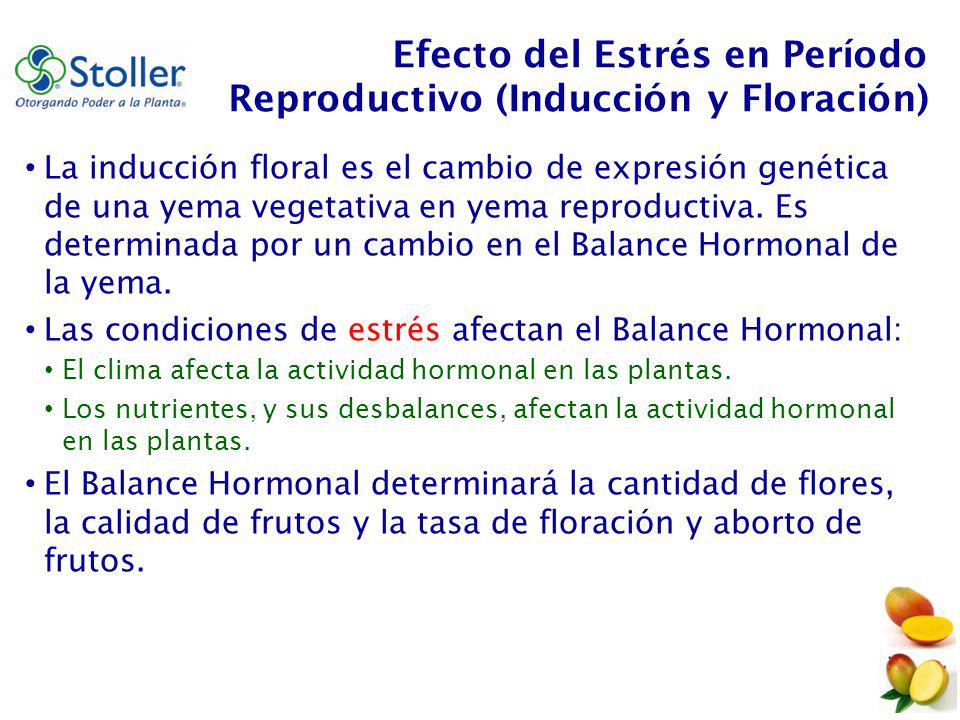 Efecto del Estrés en Período Reproductivo (Inducción y Floración)