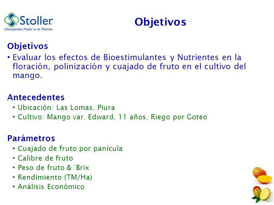 Objetivos Objetivos. Evaluar los efectos de Bioestimulantes y Nutrientes en la floración, polinización y cuajado de fruto en el cultivo del mango.