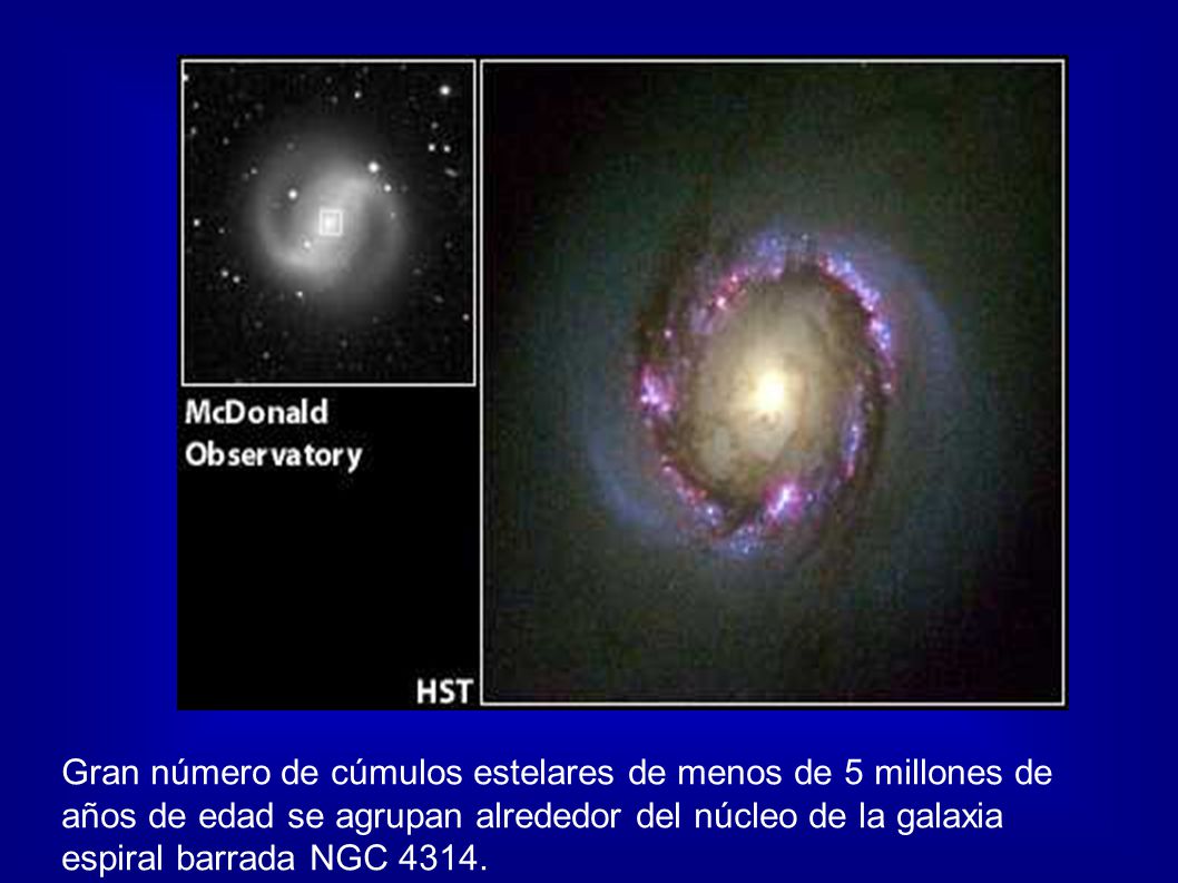 Gran número de cúmulos estelares de menos de 5 millones de años de edad se agrupan alrededor del núcleo de la galaxia espiral barrada NGC 4314.