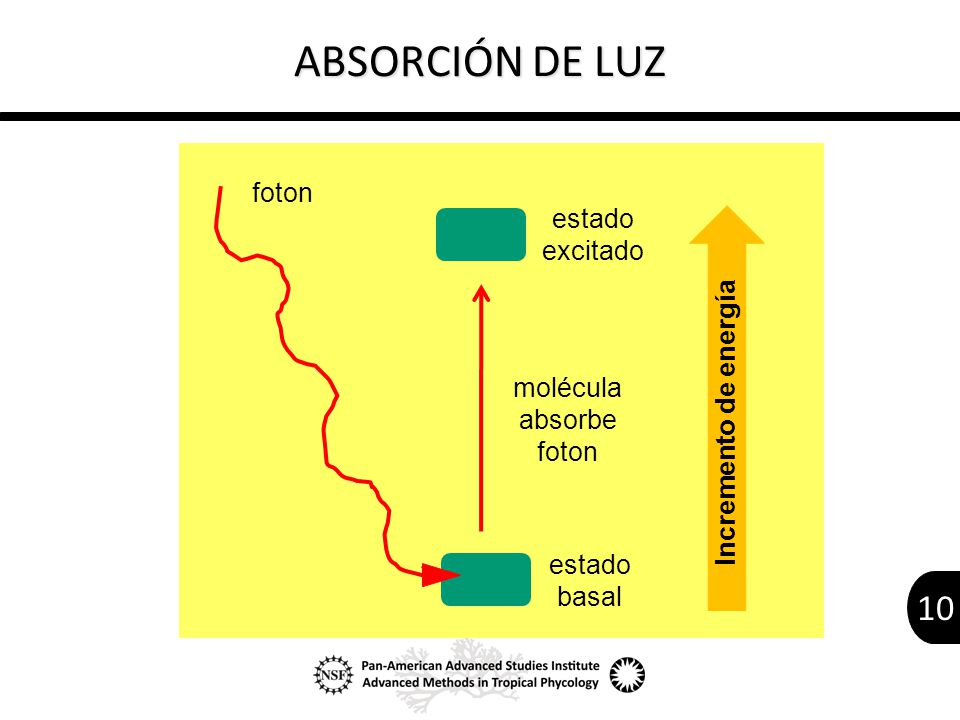 molécula absorbe foton