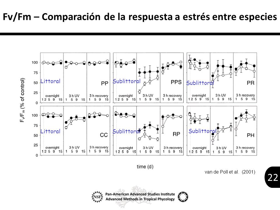 Fv/Fm – Comparación de la respuesta a estrés entre especies