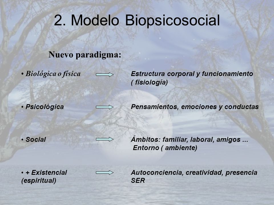 2. Modelo Biopsicosocial
