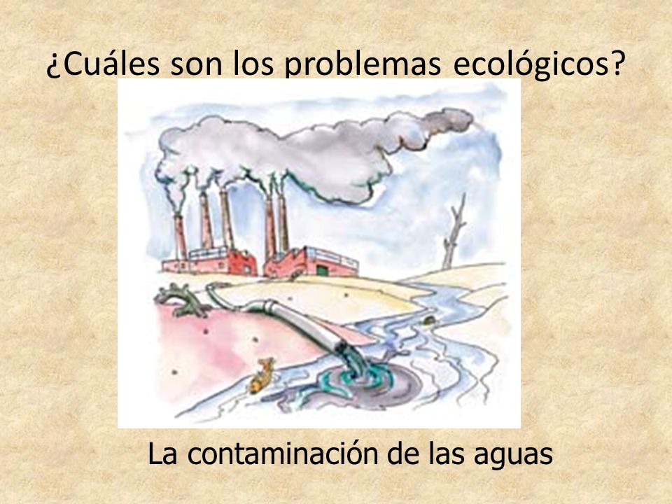 ¿Cuáles son los problemas ecológicos
