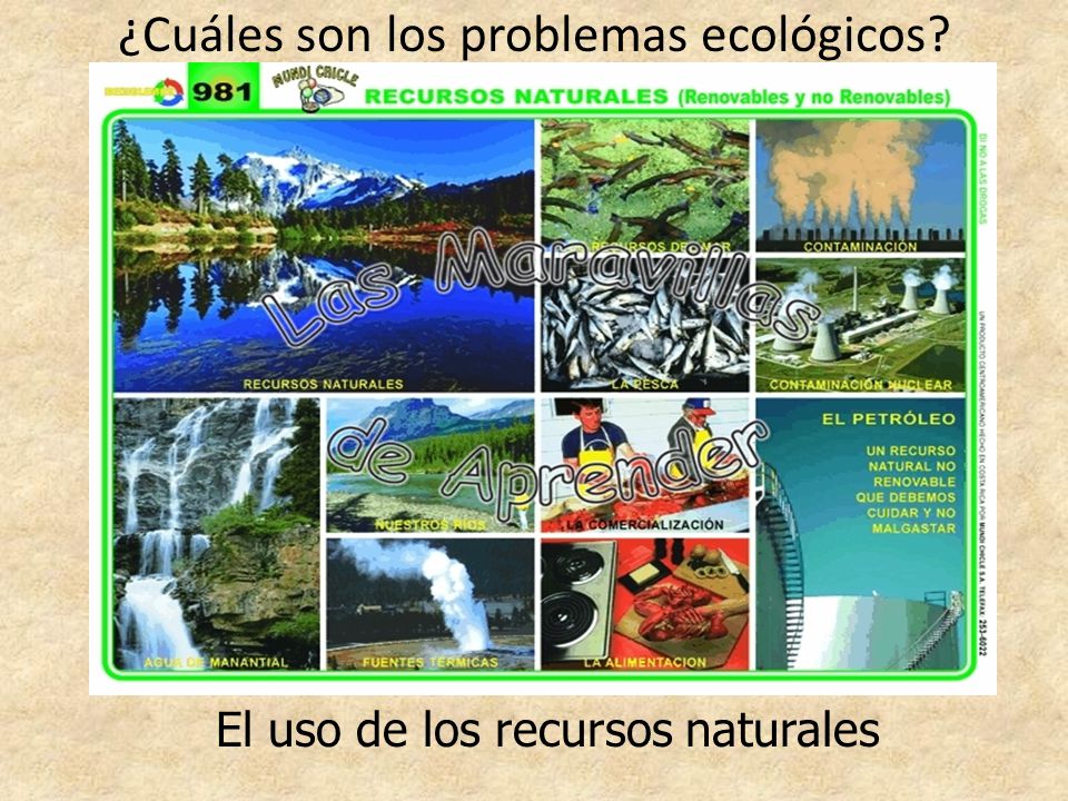 ¿Cuáles son los problemas ecológicos