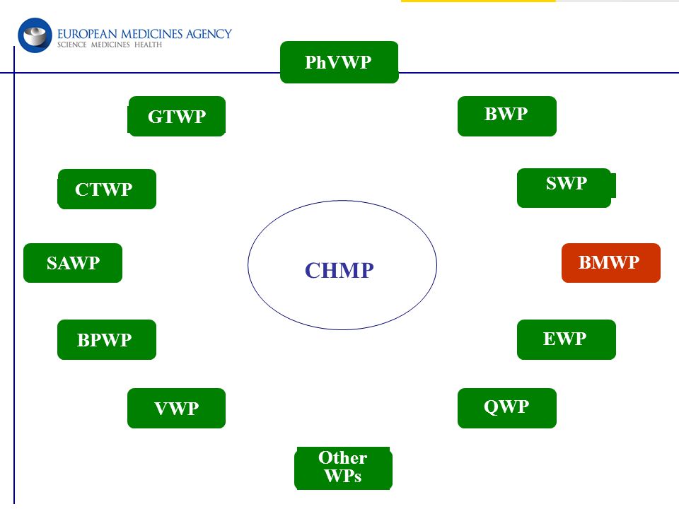 PhVWP GTWP BWP CTWP SWP CHMP SAWP BMWP BPWP EWP VWP QWP Other WPs