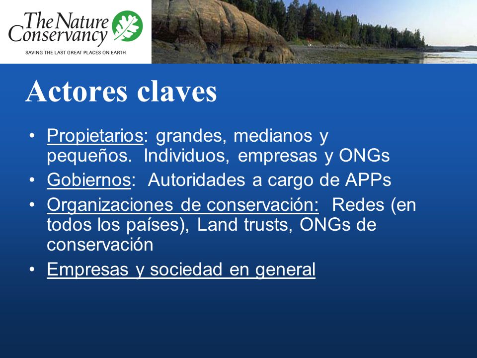 Actores claves Propietarios: grandes, medianos y pequeños. Individuos, empresas y ONGs. Gobiernos: Autoridades a cargo de APPs.
