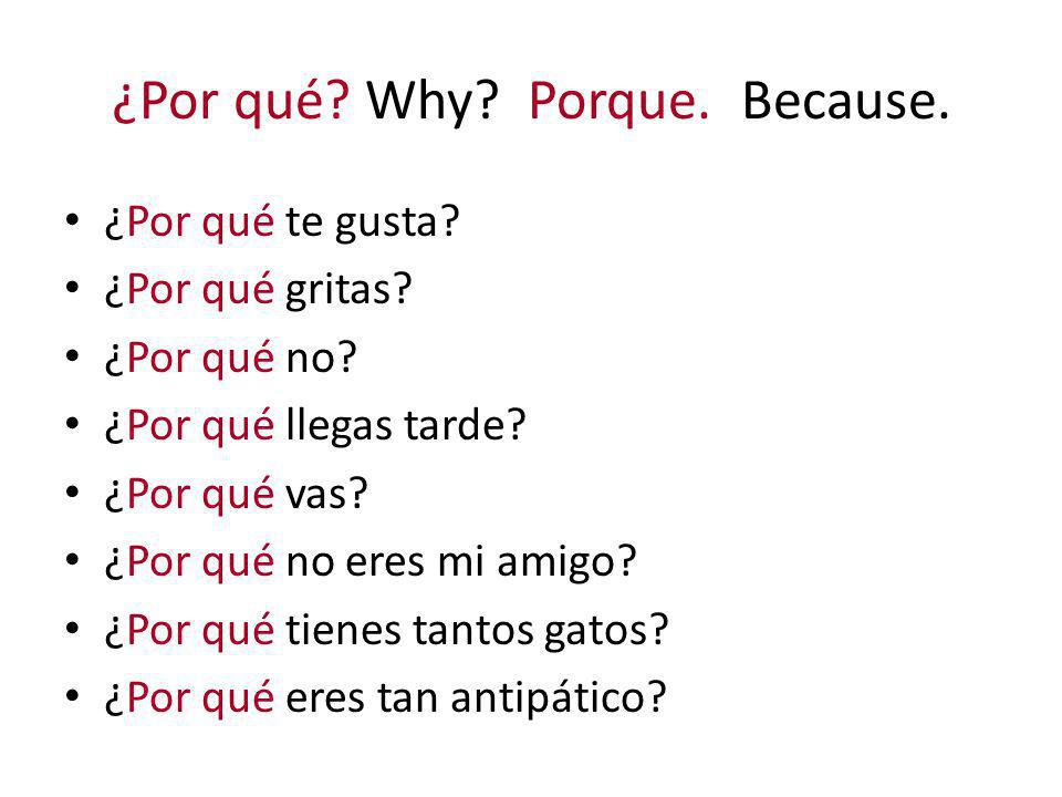 ¿Por qué Why Porque. Because.