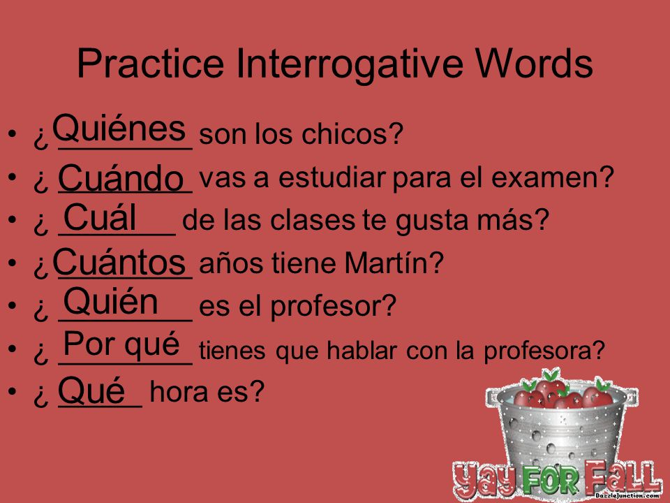 Practice Interrogative Words