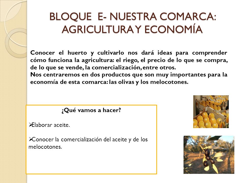 BLOQUE E- NUESTRA COMARCA: AGRICULTURA Y ECONOMÍA