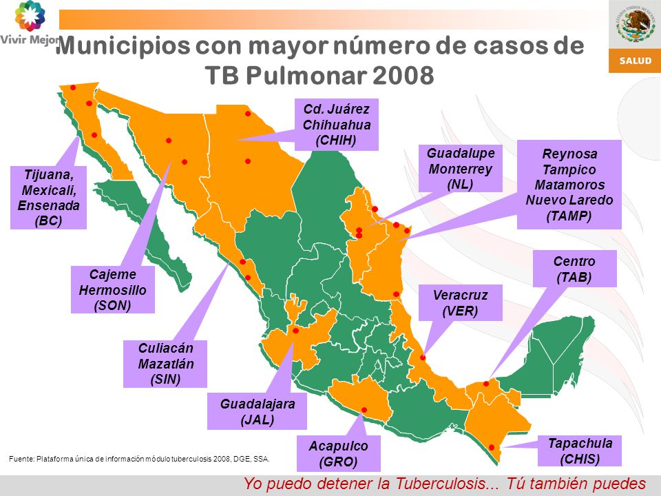 Municipios con mayor número de casos de TB Pulmonar 2008