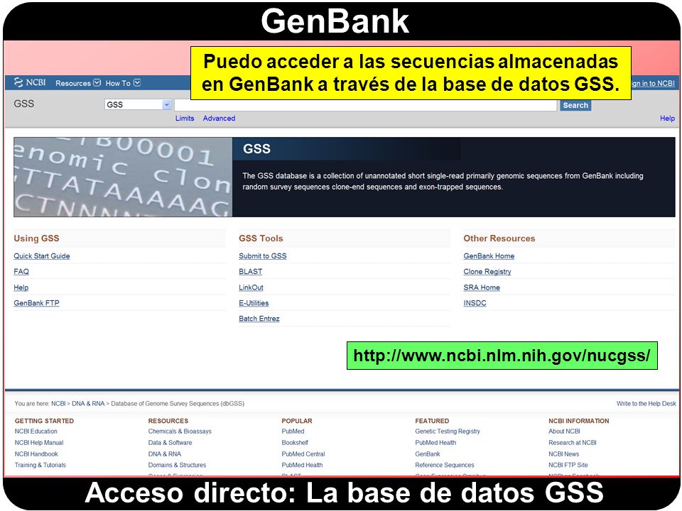 Acceso directo: La base de datos GSS