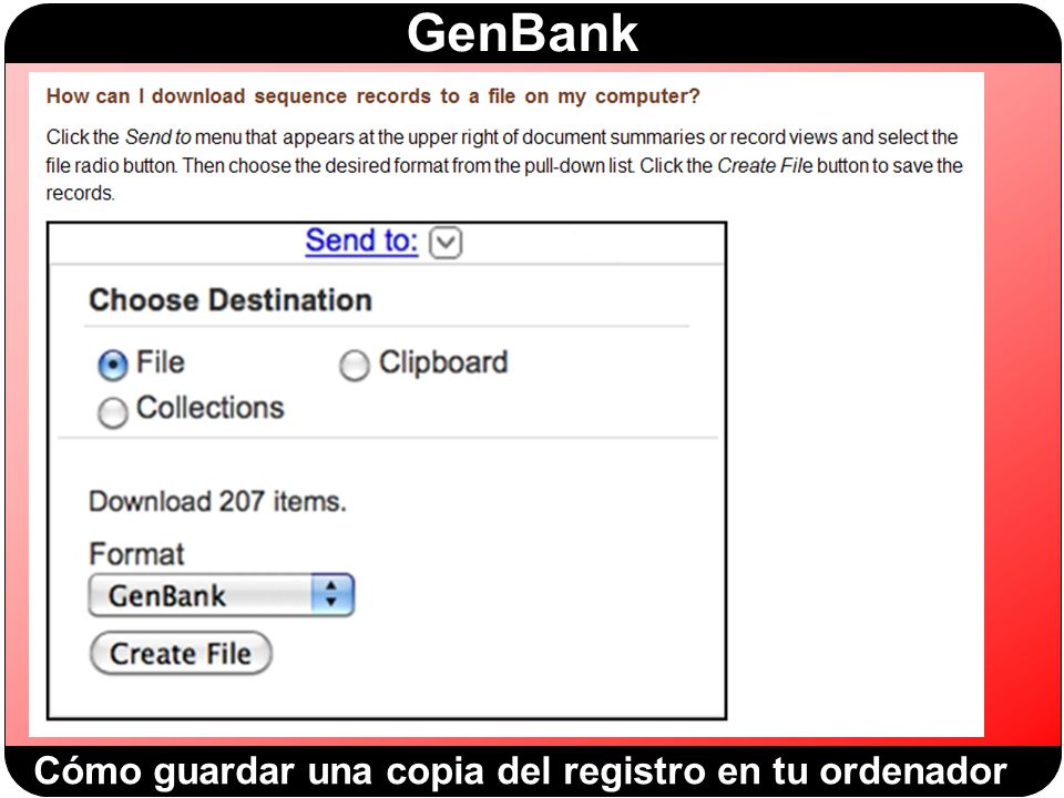 Cómo guardar una copia del registro en tu ordenador