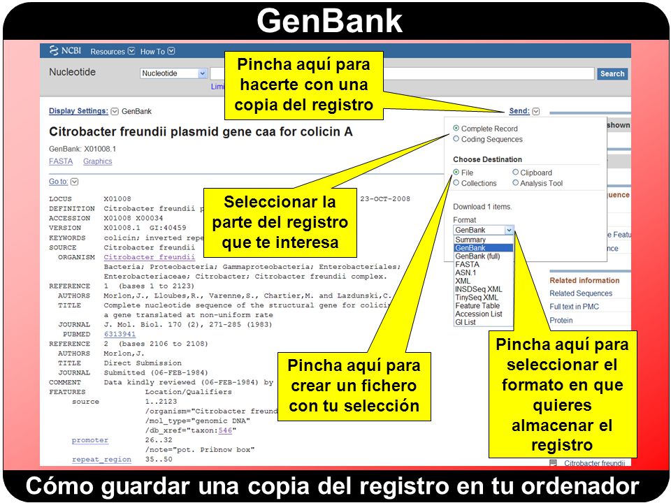 Cómo guardar una copia del registro en tu ordenador