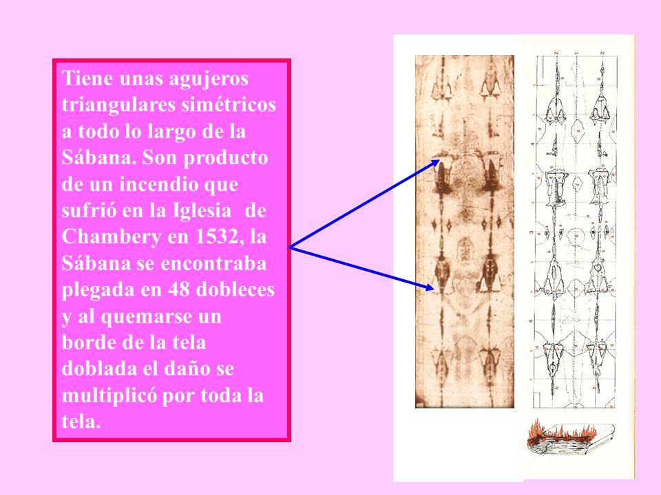 Tiene unas agujeros triangulares simétricos a todo lo largo de la Sábana.