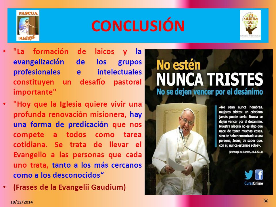 CONCLUSIÓN La formación de laicos y la evangelización de los grupos profesionales e intelectuales constituyen un desafío pastoral importante
