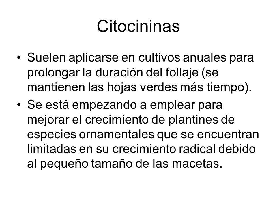 Citocininas Suelen aplicarse en cultivos anuales para prolongar la duración del follaje (se mantienen las hojas verdes más tiempo).