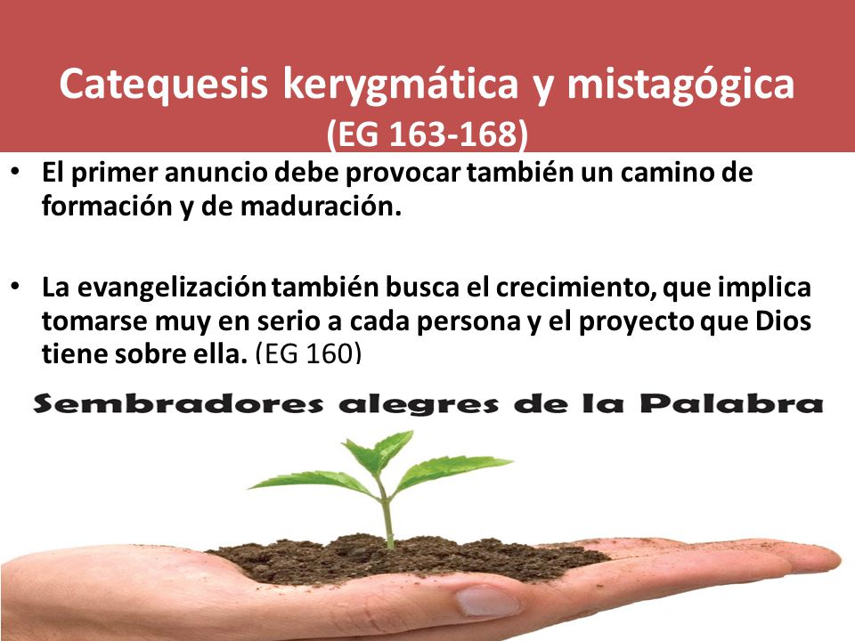 Catequesis kerygmática y mistagógica (EG )