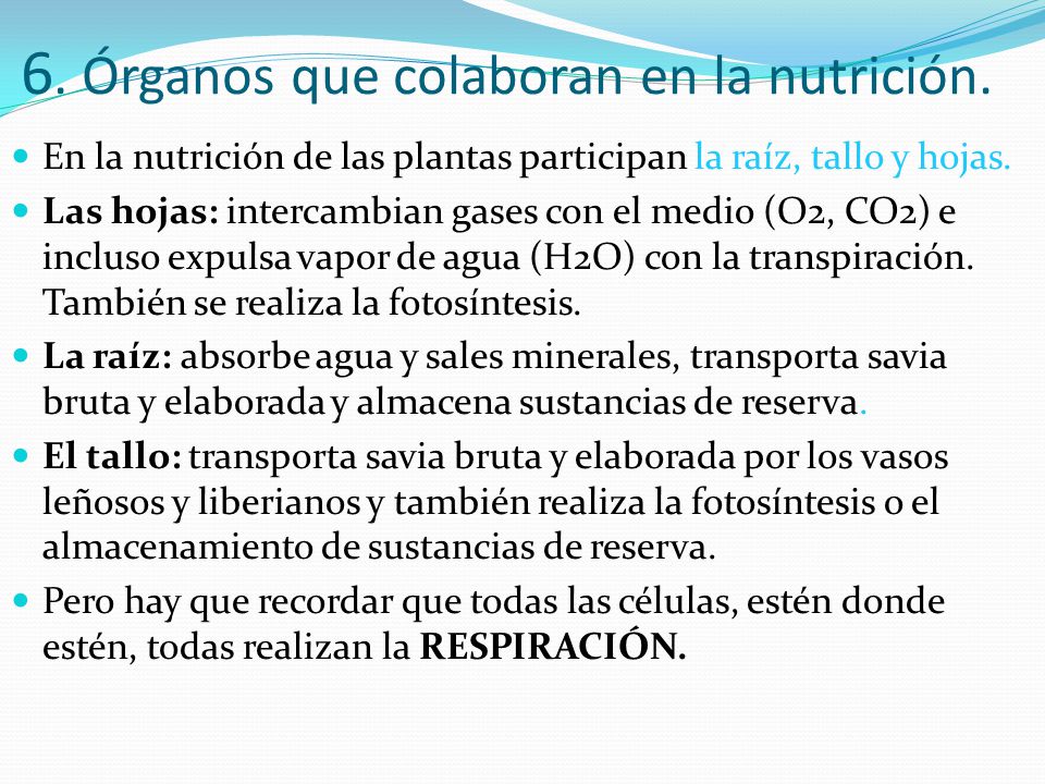 6. Órganos que colaboran en la nutrición.
