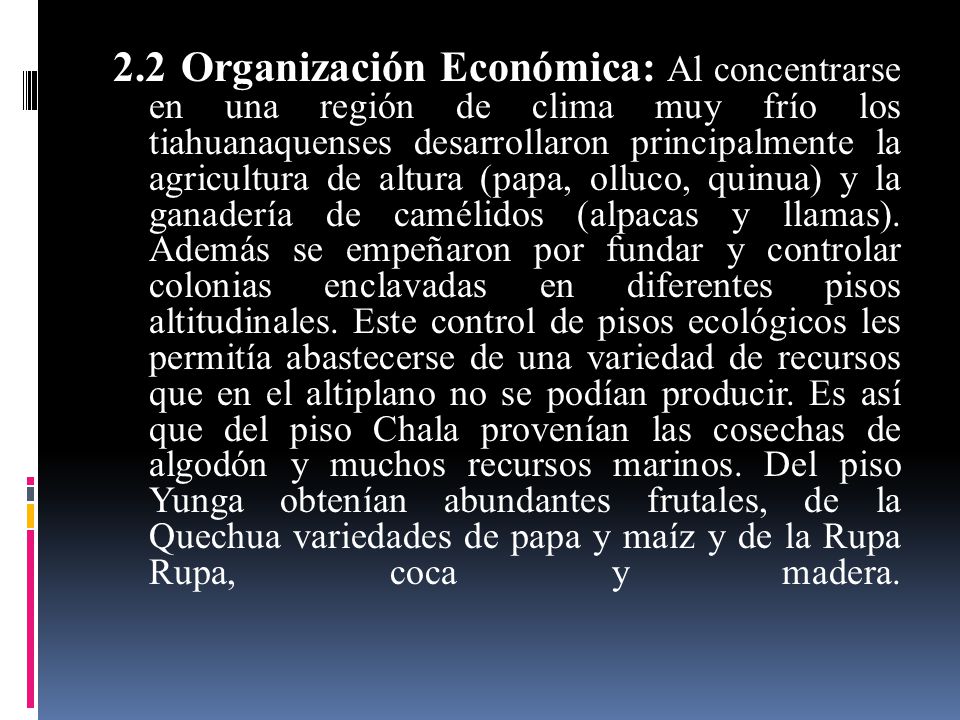 2.2 Organización Económica: Al concentrarse en una región de clima muy frío los tiahuanaquenses desarrollaron principalmente la agricultura de altura (papa, olluco, quinua) y la ganadería de camélidos (alpacas y llamas).