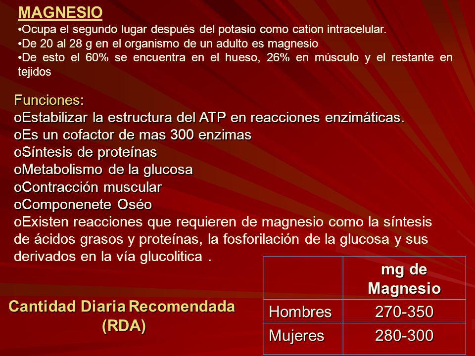 Cantidad Diaria Recomendada
