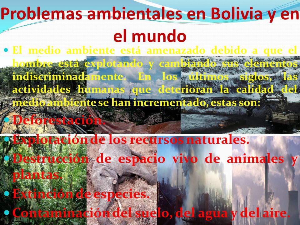 Problemas ambientales en Bolivia y en el mundo