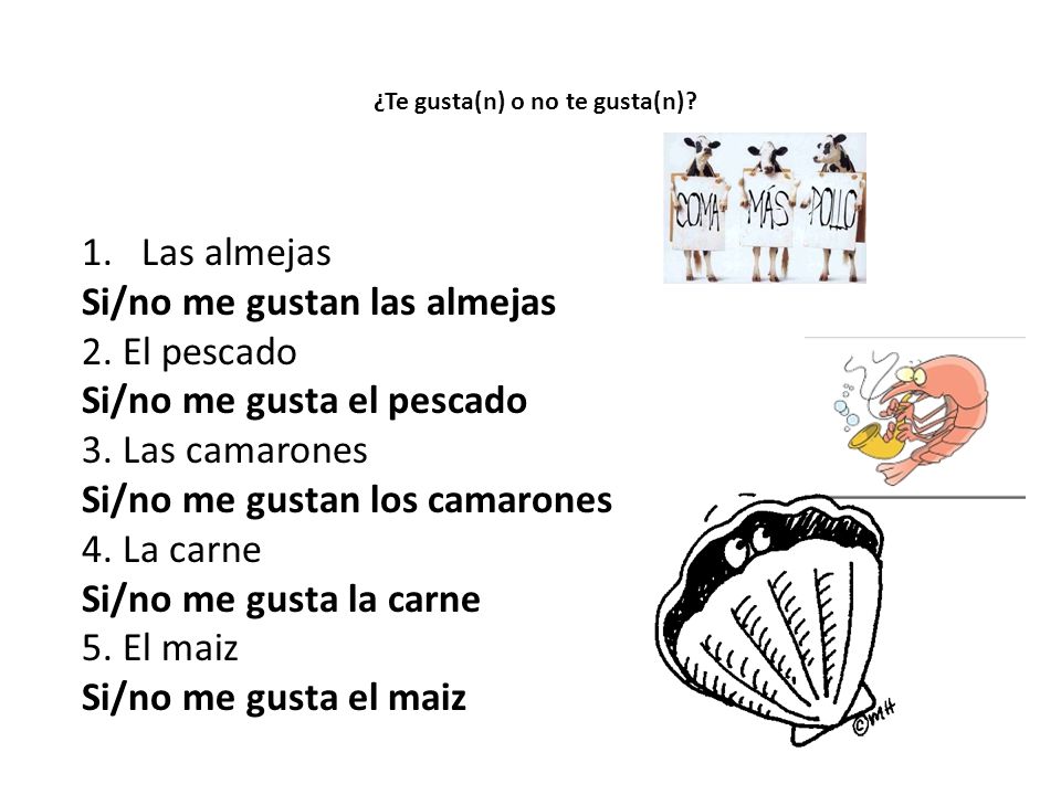 Si/no me gustan las almejas 2. El pescado Si/no me gusta el pescado
