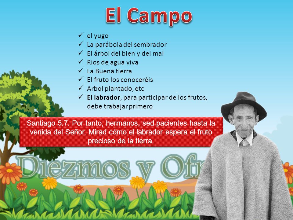 El Campo el yugo La parábola del sembrador El árbol del bien y del mal